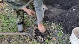 Хмель, это наша проблема. Тяпаем картошку.