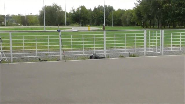 "Боженовская гонка патрулей" 22.2 км, Марьино, 05.09.2020 смотреть онлайн