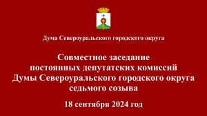 Совместное заседание постоянных депутатских комиссий Думы 18 сентября 2024 года