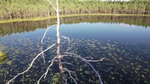 Андрей Кириенко (г. Москва)_Гляжу в озера синие (Аккордина)