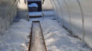 Декабрьский денек на даче. Мои работы. Белки, птицы.