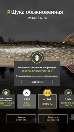 🐟Рекордная первая Щука 3,9 кг, Русская Рыбалка 4, Russian Fishing 4