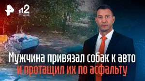 Мужчина привязал двух собак к авто и протащил их по асфальту