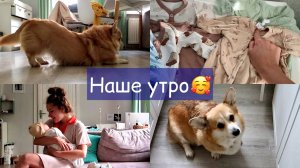 УТРО С 4-х МЕСЯЧНЫМ МАЛЫШОМ и коржиками🙂 так долго хотела и не получилось 🙄VLOG
