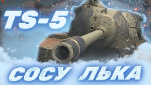 TS-5 - СОСУ ЛЬКА | ГАЙД Tanks Blitz