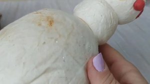 Ватная редкость. Прощаемся или...?