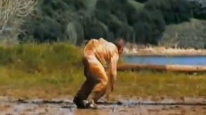 The Best of Jackass!