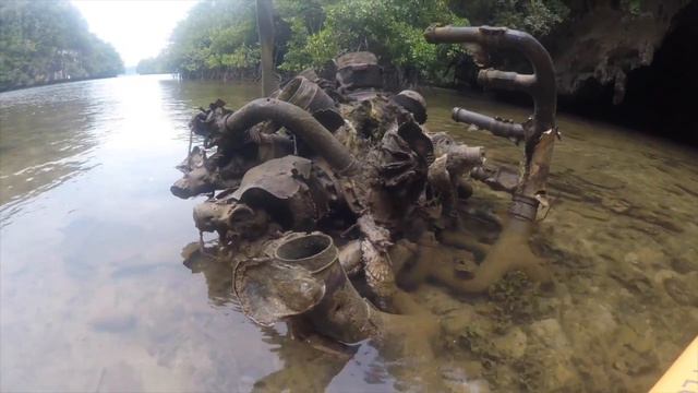 Palau Conservation Society смотреть онлайн