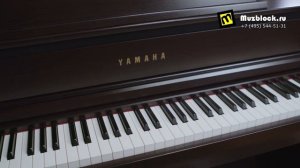 Yamaha CLP-775 - обзор цифрового фортепиано