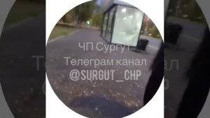 В Сургуте малолетние хулиганы разгромили теплую остановку и сняли это на видео