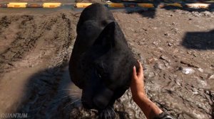 Far Cry 6 Stealth Kills - Outpost Liberation Santo Gusto Coffee Factory