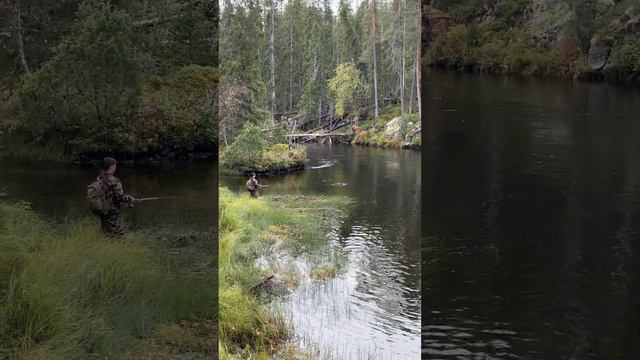 Красота смотреть онлайн