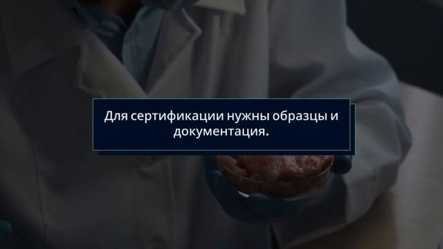 Сертификация бытовой техники — основные требования — sertex.org