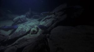 В Вост-Африканской рифтовой долине находятся три крупнейших озера мира: Малави,Танганьика и Виктория