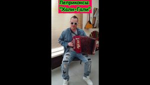 Леприконсы. Хали-Гали Паратрупер Гармонь Гармонист accordion Баян Дискотека 90-х. Хиты 90-х Шлягер