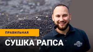 Все о сушке рапса: особенности, правила, технология