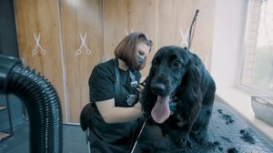 Открытие BARBERDOG в г. Чебоксары