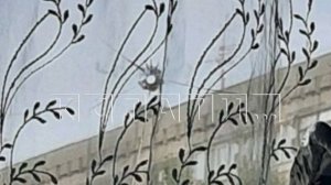 Неизвестный уже неделю обстреливает детские сады в Канавинском районе