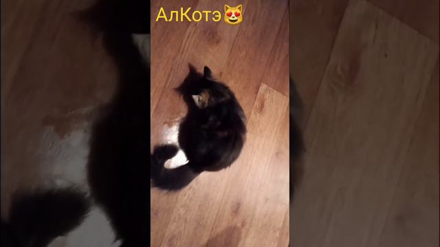 Обработка царапин и нечаянная  радость для Тиграна