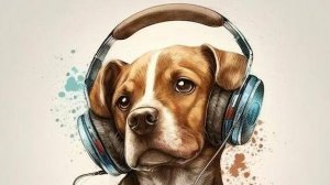 Audio Dog