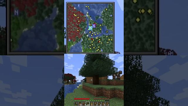 Você sabia que e possível colocar um minimapa no Minecraft??? #minecraft #viral #funny