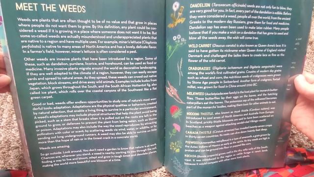 Weeds Find A Way- Cindy Jenson-Elliot смотреть онлайн