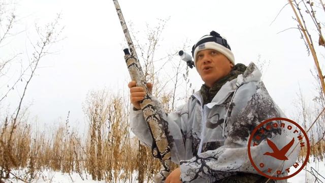 Основы, теория и практика охоты на ворону
