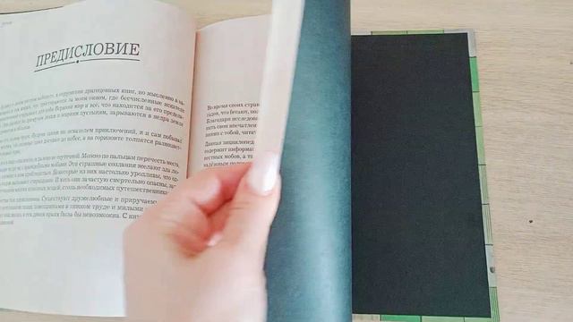 Обзор на книгу Майнкрафт (ASMR) #ASMR #обзор смотреть онлайн