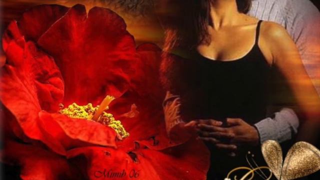 G. Montanari (Suona chitarra) смотреть онлайн