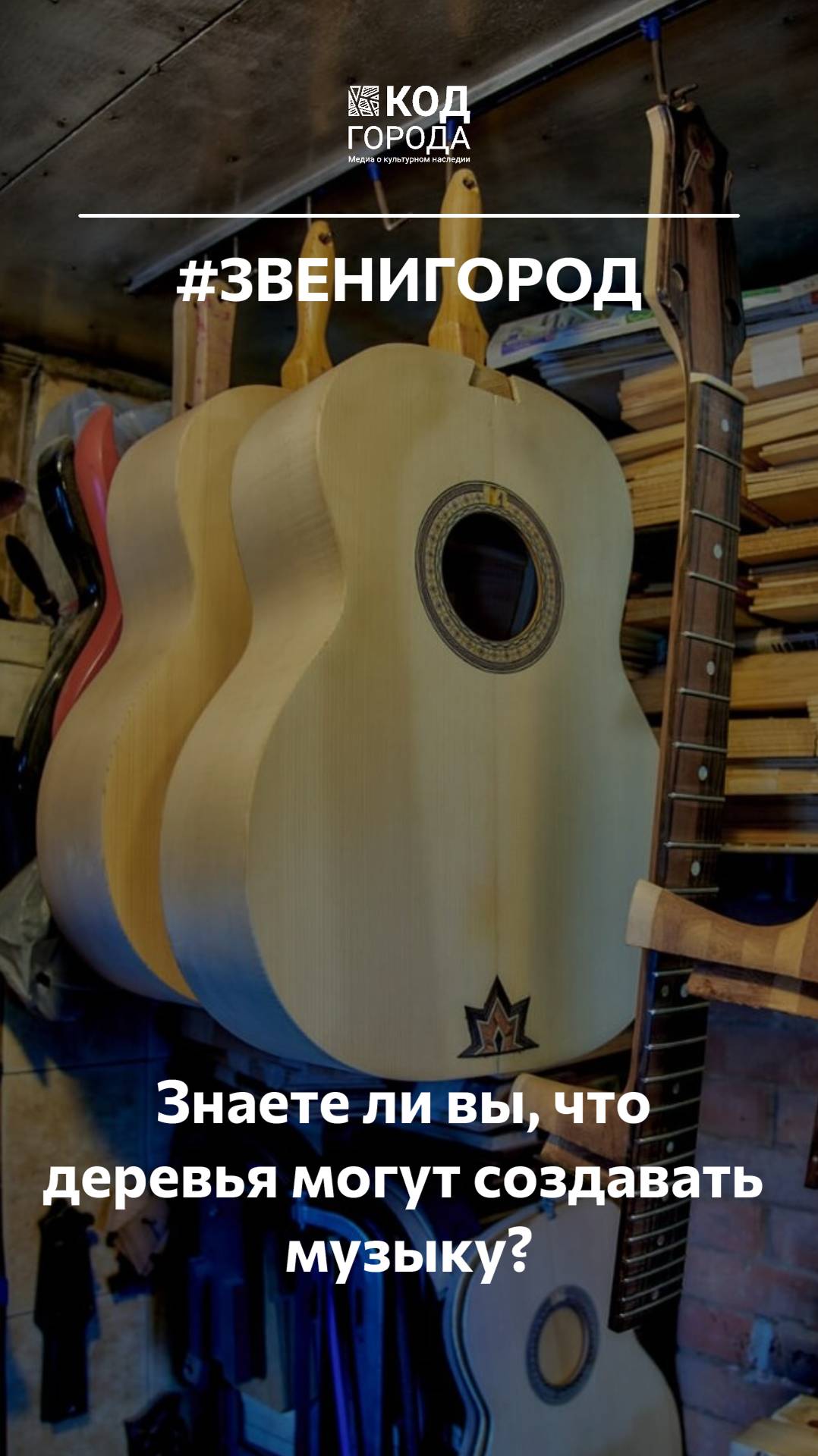 Вы когда-нибудь задумывались что деревья могут создавать музыку? Звенигород