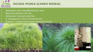 Круглый стол АППМ: «Каким должен быть современный, востребованный ассортимент растений»