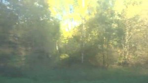 Кашира, автобус 26, участок Поворот на Ожерелье - Лёдово