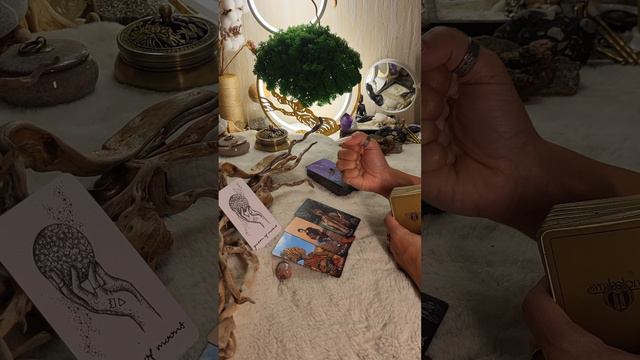ПОДСКАЗКИ ВСЕЛЕННОЙ. 2 вариант.  
Расклад на неделю #35 выпуск