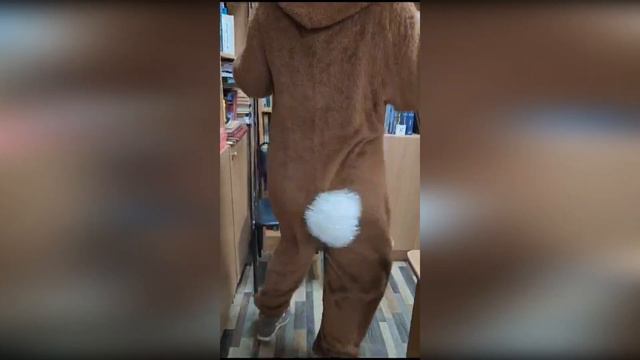 ЛОСЬ в библиотеке!!!