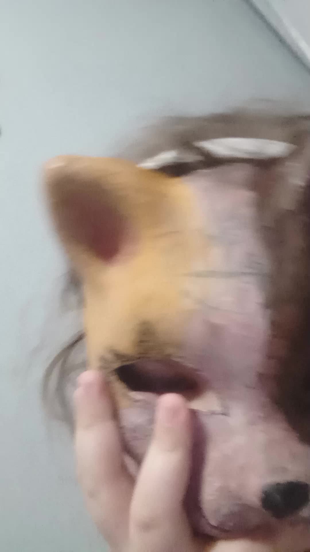 незн