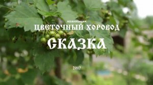 Цветочный хоровод 2017