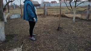 Купили цыплят! Хорошо поработали!