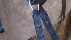 Вестерн седло - что за зверь?