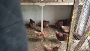 Обращение к подписчикам!