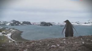 Русская Антарктида XXI век.