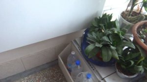 Пассажирские лифты V=1 м-с, Q=400 кг (3622)