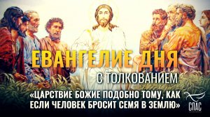 «ЦАРСТВИЕ БОЖИЕ ПОДОБНО ТОМУ, КАК ЕСЛИ ЧЕЛОВЕК БРОСИТ СЕМЯ В ЗЕМЛЮ» / ЕВАНГЕЛИЕ ДНЯ