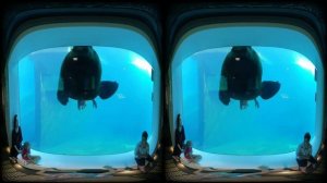 VID 20240703 100808 00 230