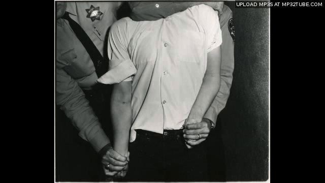 FLOKIMOTHEQUE 10 смотреть онлайн