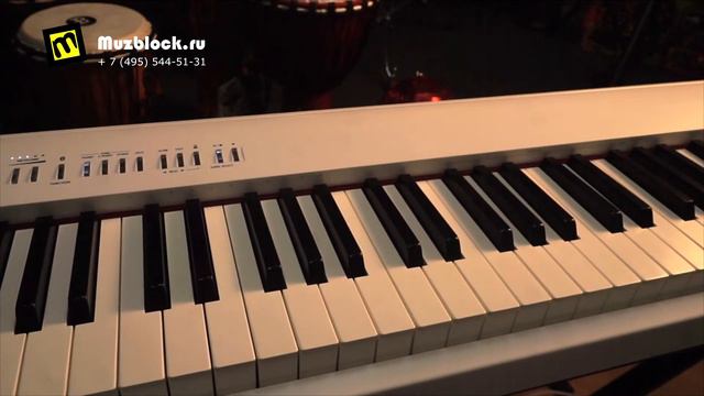 Roland FP-30, обзор цифрового фортепиано, звук и функции