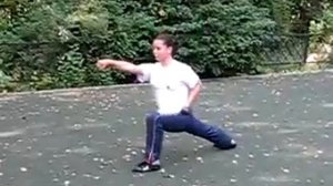 20 форм  чанцюань