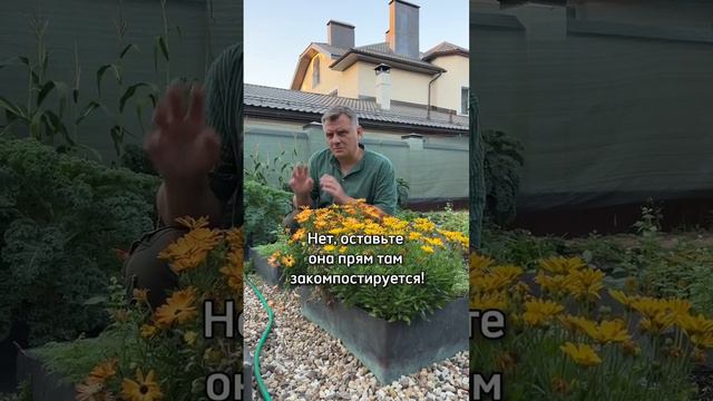 НЕ ДЕЛАЙТЕ ЭТОГО ОСЕНЬЮ в саду и огороде!