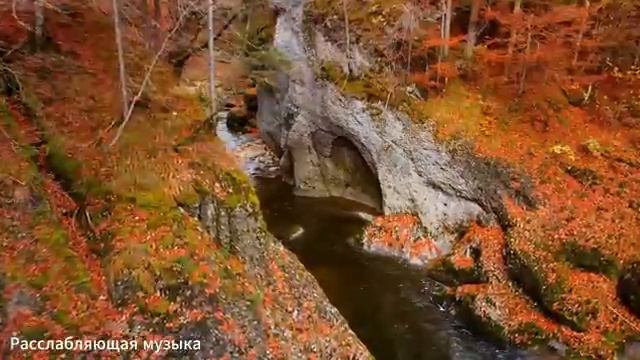 Музыка для души