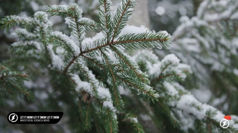 227. MARSTEREON, Veronica Bravo - Let It Snow! Let It Snow! Let It Snow