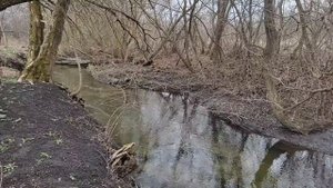 У нас субботник) навели порядок во дворе, в саду и у берега реки. Грунтуем декоративные кирпичики.